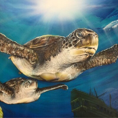 Sea Turtle III - Original