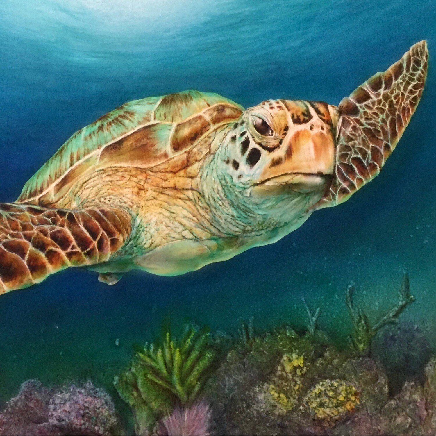Sea Turtle II (HD Metal)