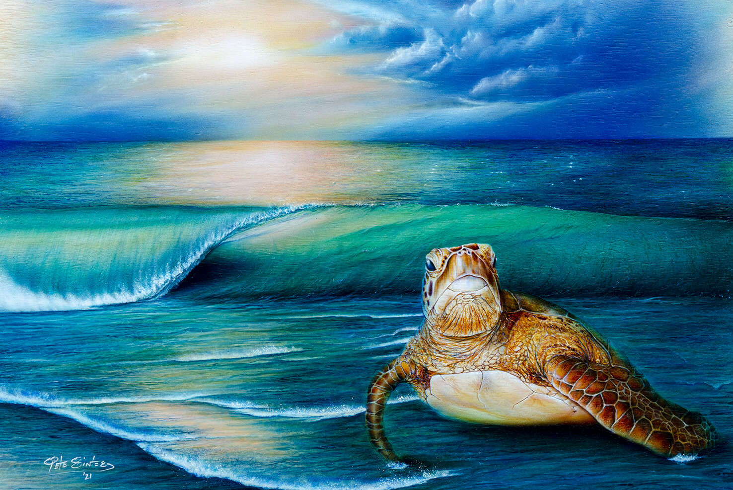 Honu V (Canvas)