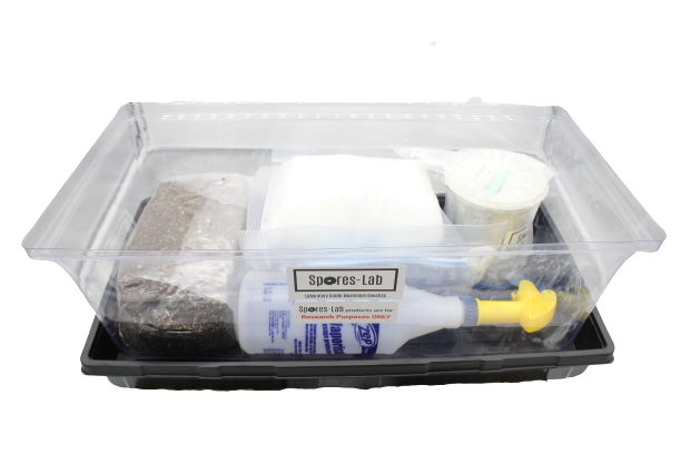 Master Culture Mushroom Grow Kit