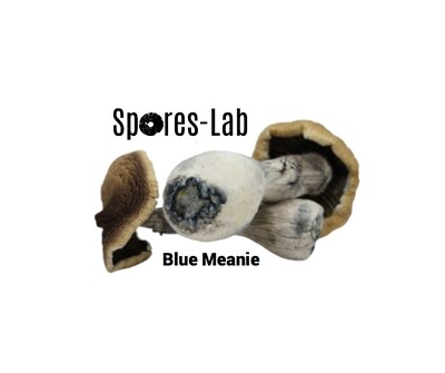 Blue Meanie Genetics