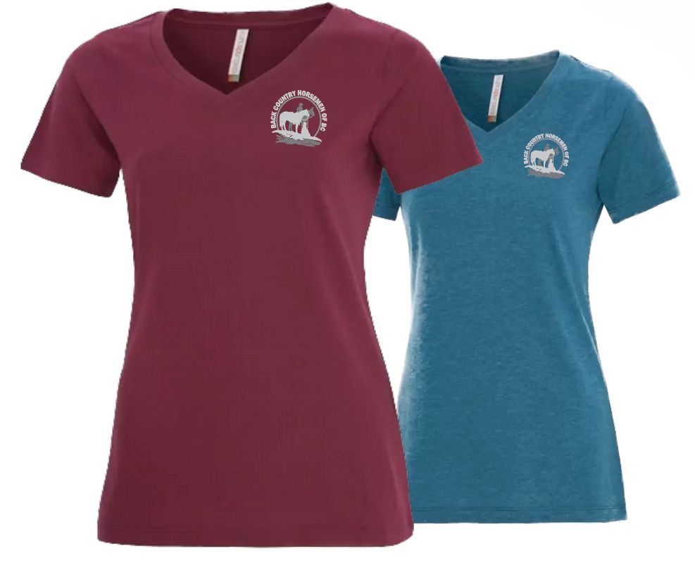 Ladies&#39; V-Neck Shirts