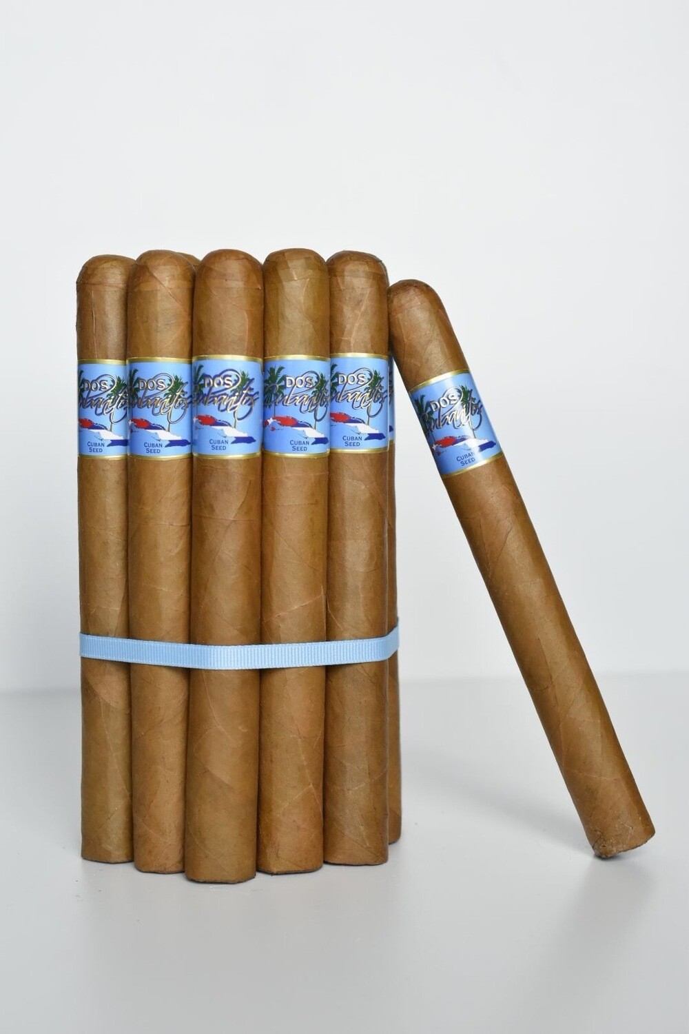DC Churchill Connecticut 7 X 48 Bundle of 25 Cigars