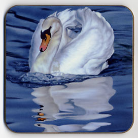 Mute Swan and Reflection. Coaster