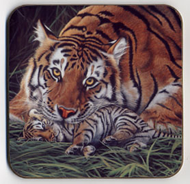 A Tiger's Care. Coaster