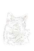 Fred the Fox