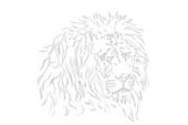 Lion on Black