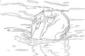 Mute Swan and Reflection