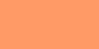 111 - Pro Orange Light