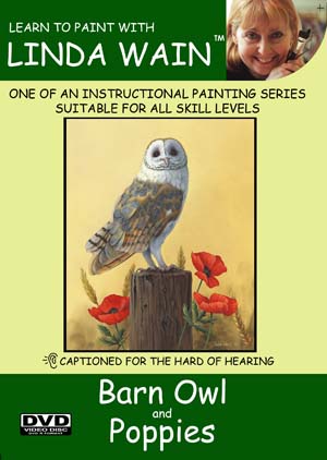 Barn Owl and Poppies