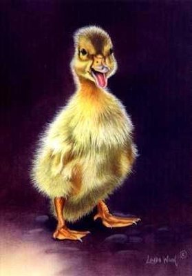 Duckling