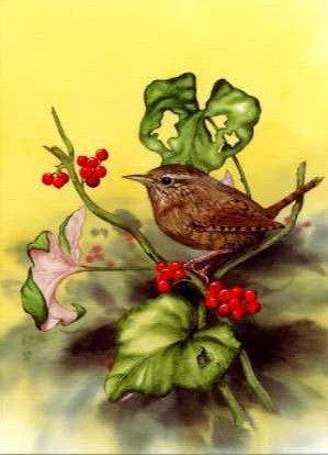 Wren on Ivy
