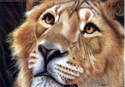 Thoughtful