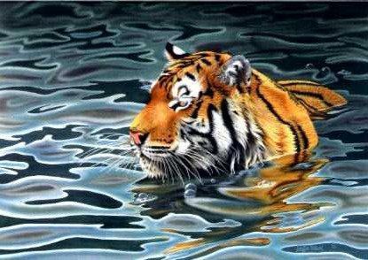 Cooling Off