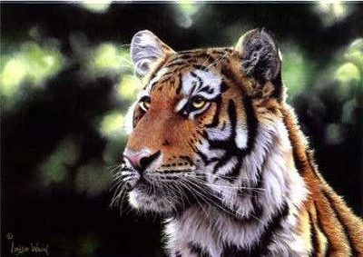 Majestic