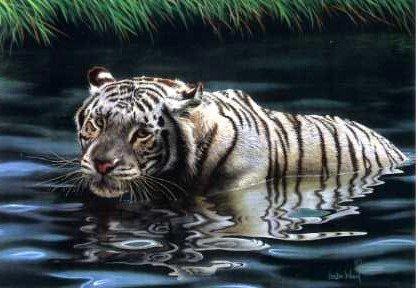 Cool Water
