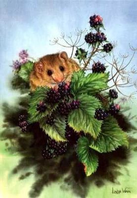 Dormouse and Blackberries