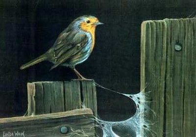 Robin and Cobwebs