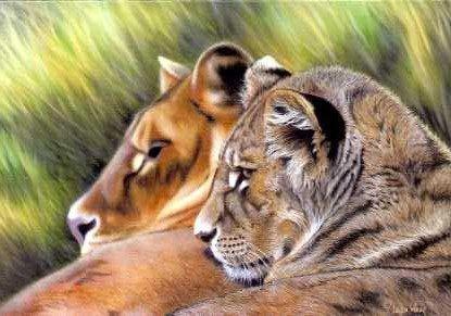 Mother and Son