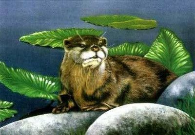Otter
