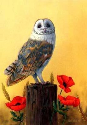 Barn Owl on Post