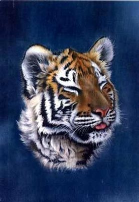 Tiger Cub Portrait