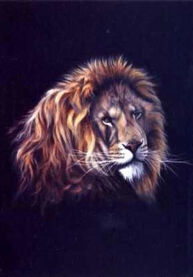 Lion on Black