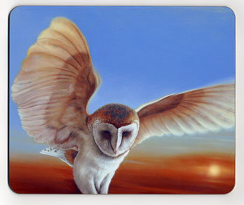 Sunset Flight. Placemat