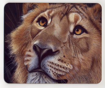 Up Close Lion. Placemat