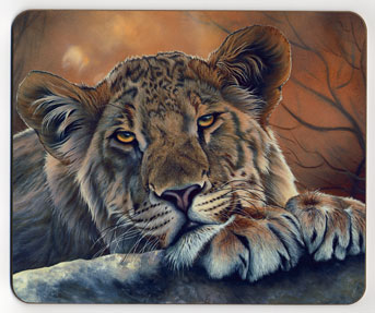 Lioness with Paws. Placemat