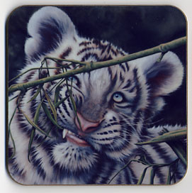 Bamboozled. Coaster
