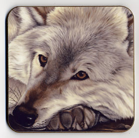 Wolf. Coaster