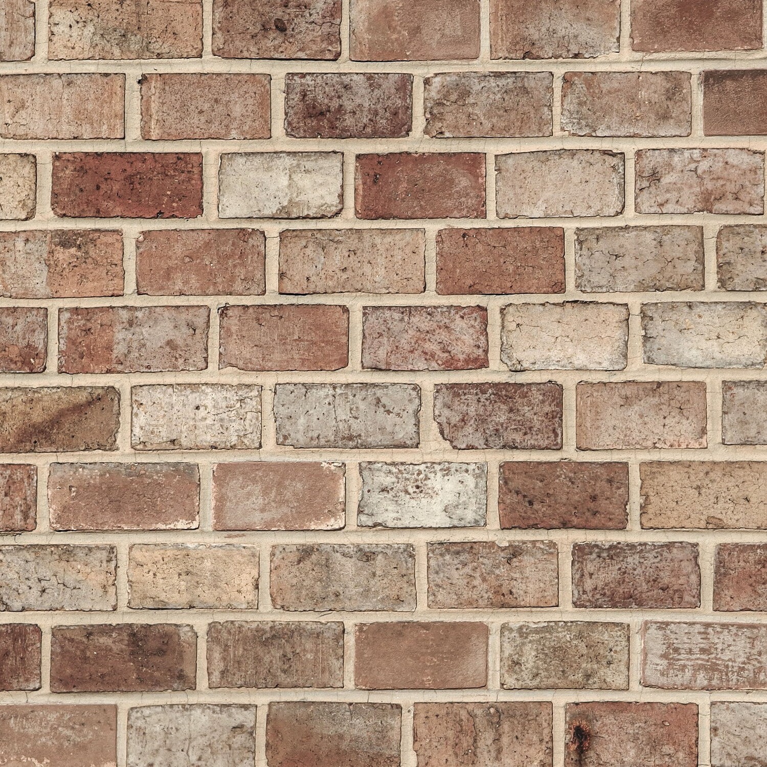 NEUTRAL BRICKS