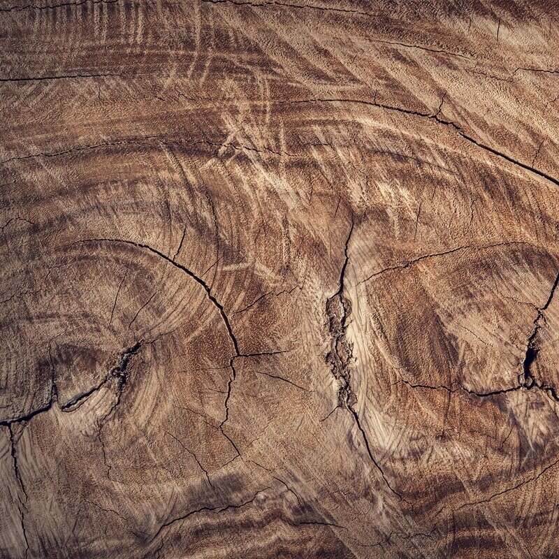 TREE WOOD