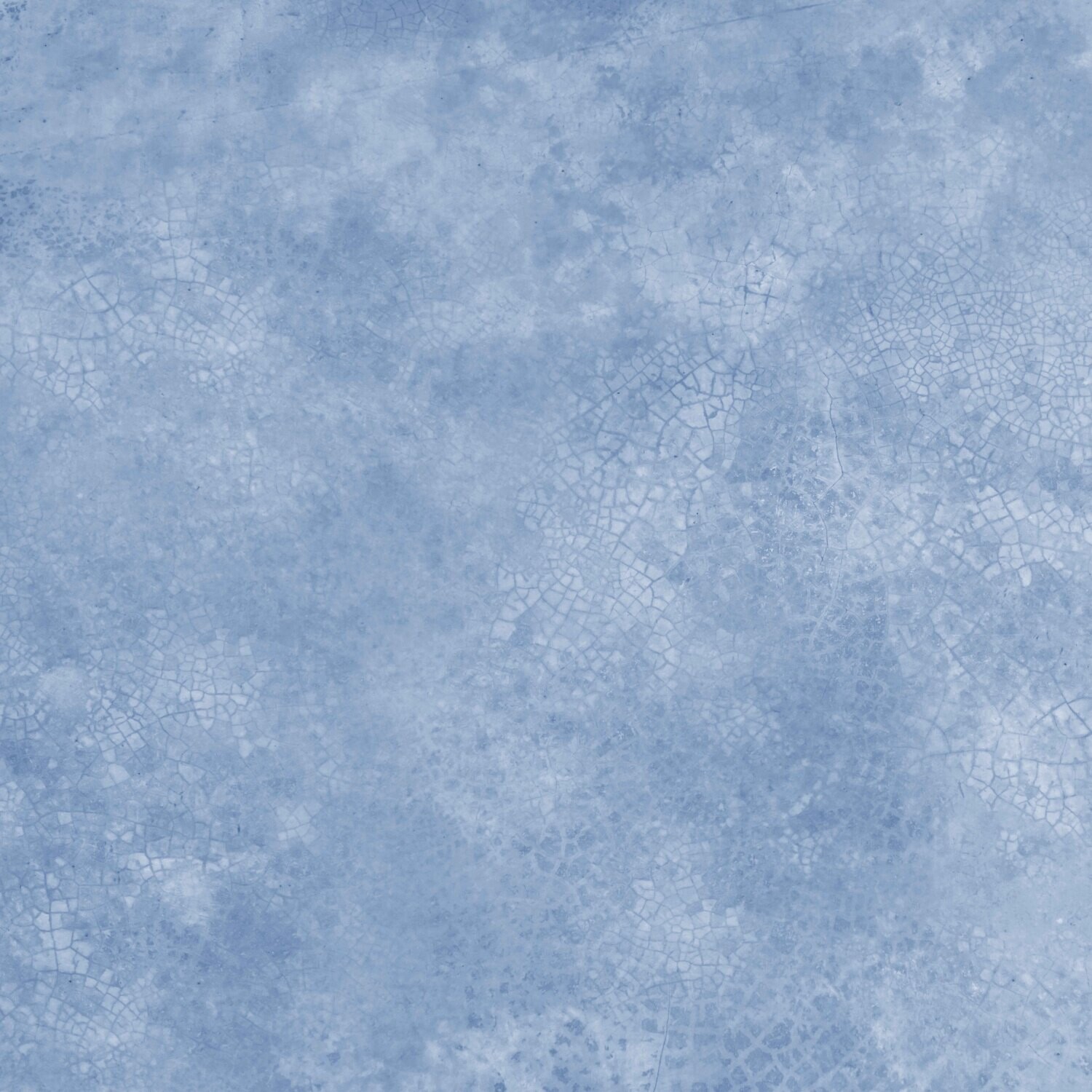 BLUEY SCALES