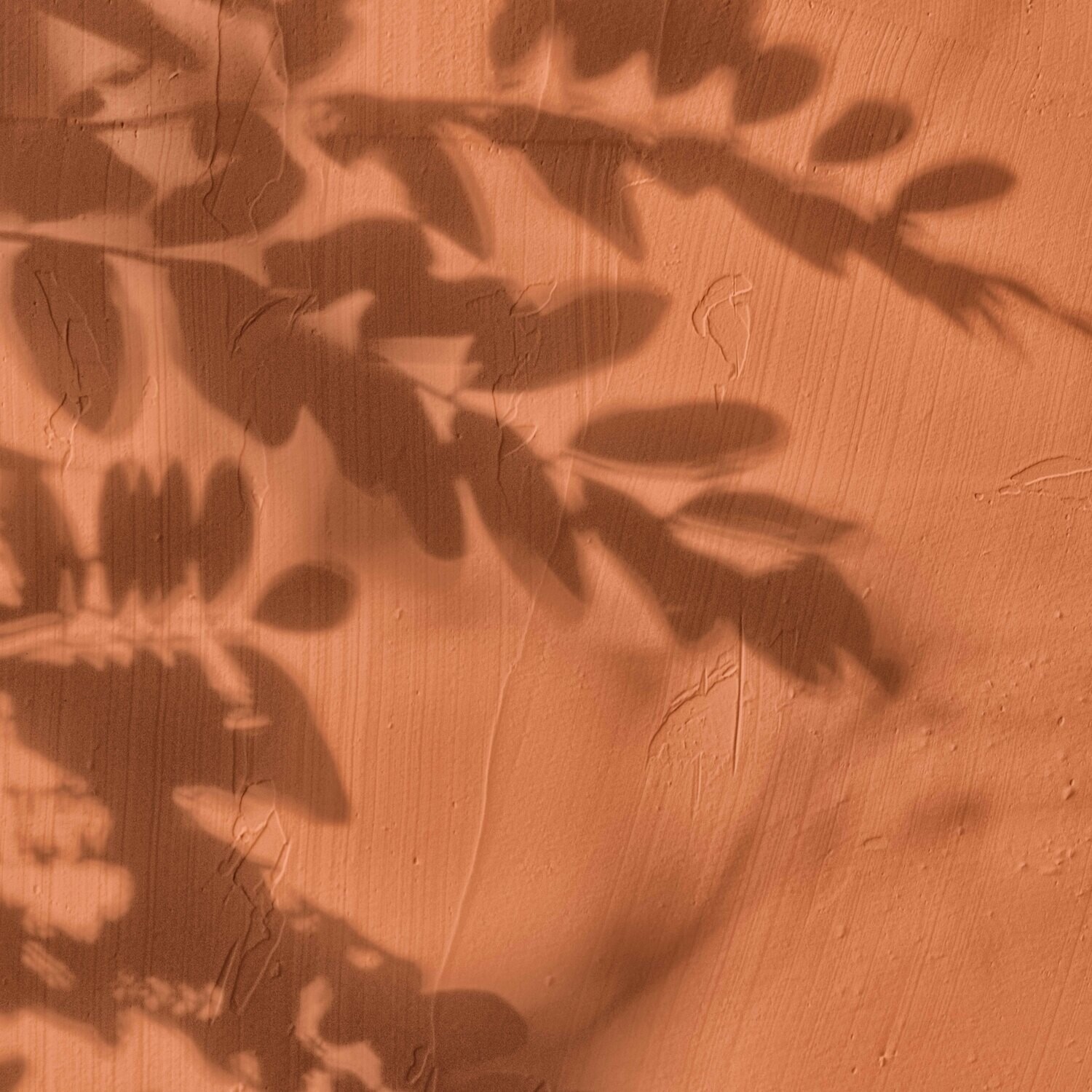 CAMEL WALL SHADOW