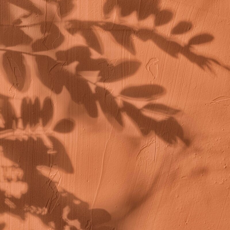 CAMEL WALL SHADOW