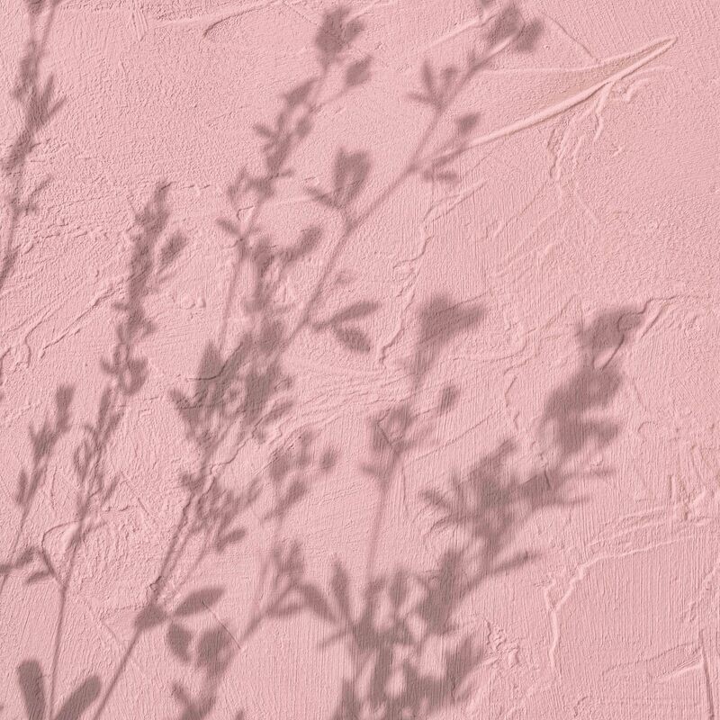 PINK WALL SHADOWS