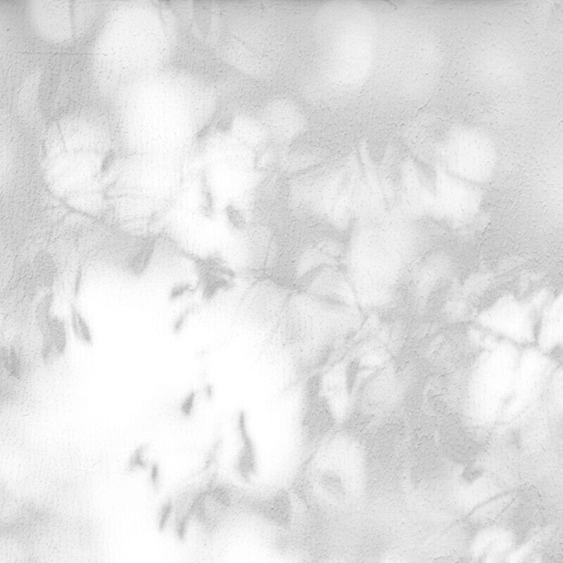 WHITE TREE SHADOWS