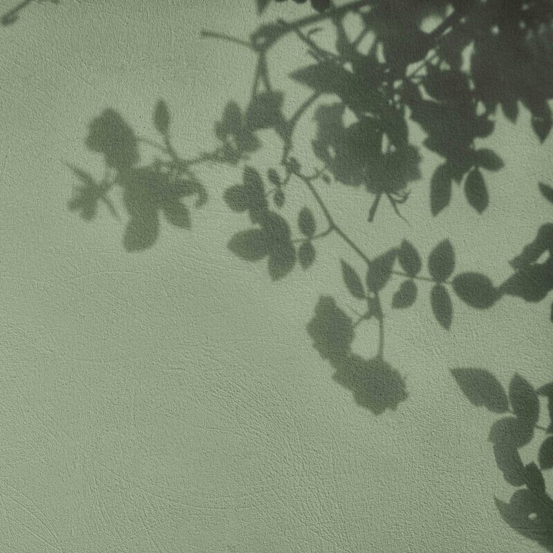 GREEN FLOWER SHADOWS