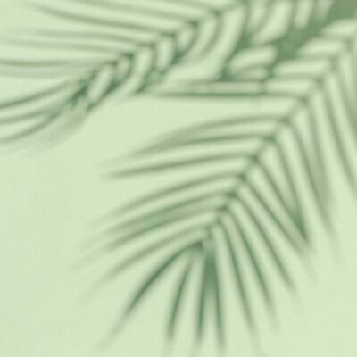 GREEN PALM SHADOWS
