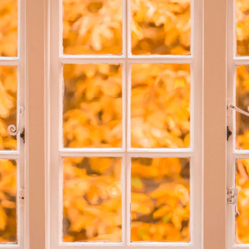 FALL WINDOW