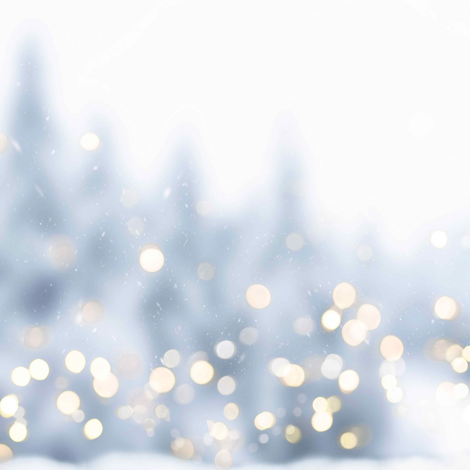 WINTER WONDERLAND