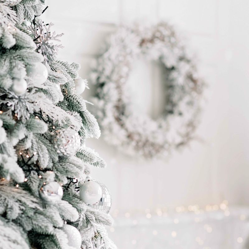 SNOWY CHRISTMAS