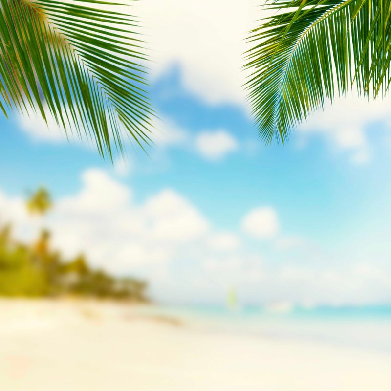 BEACH VIEW