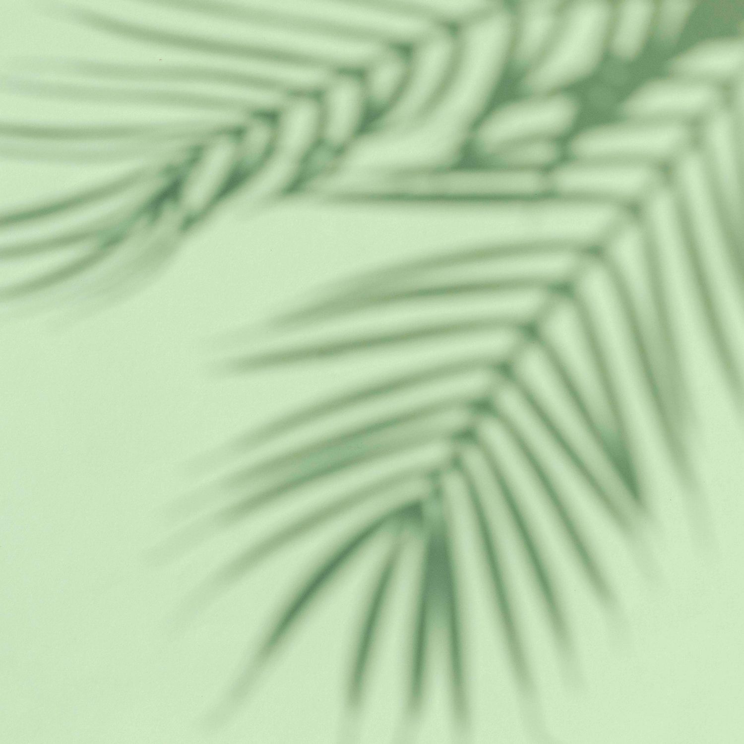GREEN PALMS