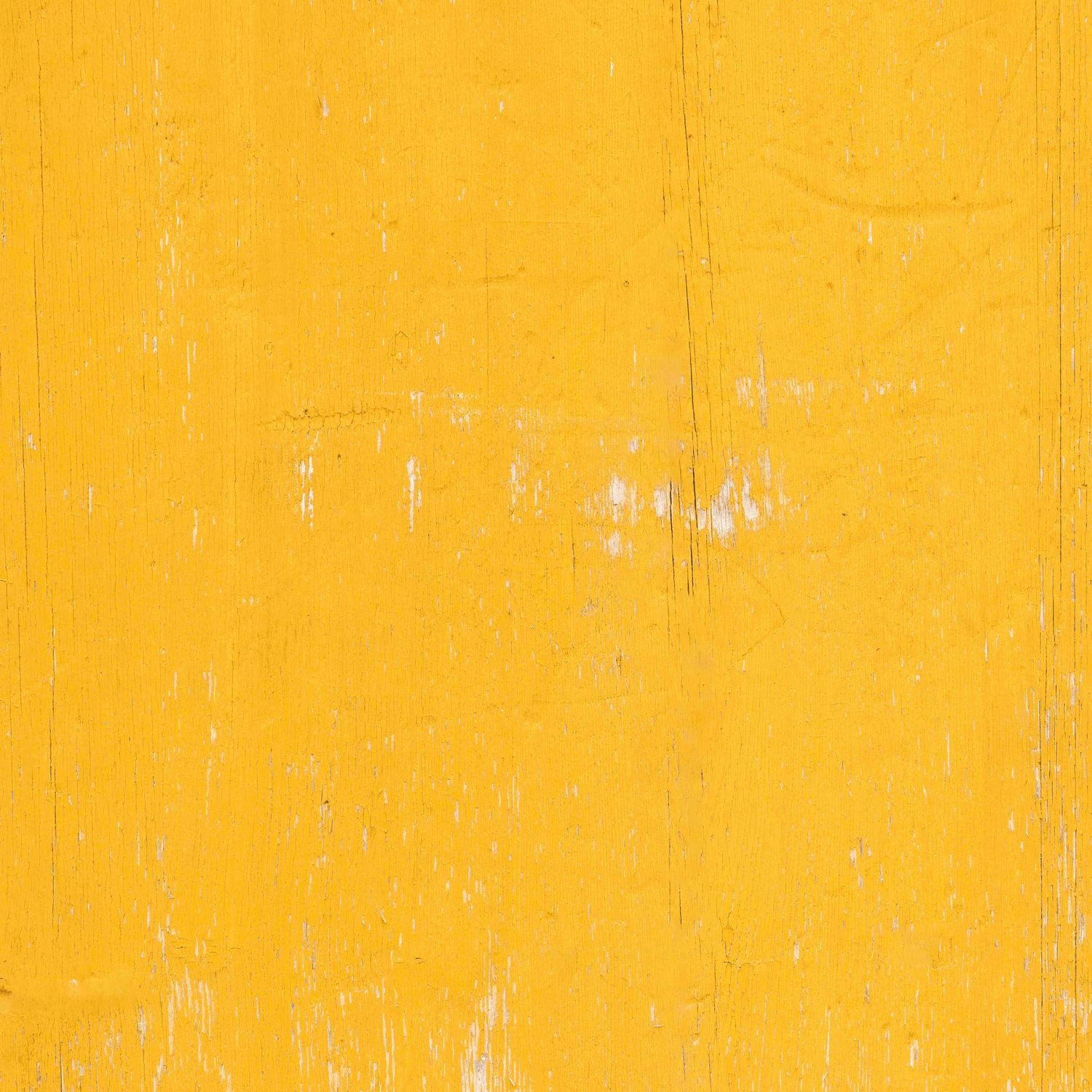 SUNNY WALL
