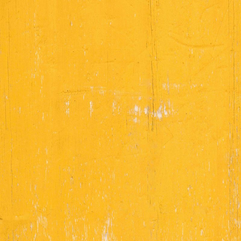 SUNNY WALL
