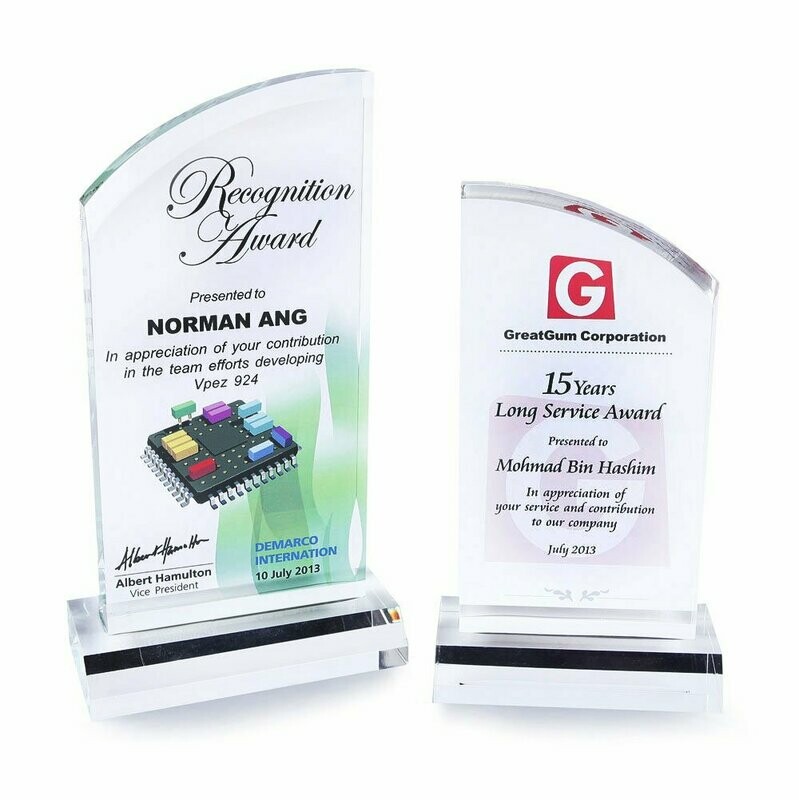 Silvanite Acrylic Award