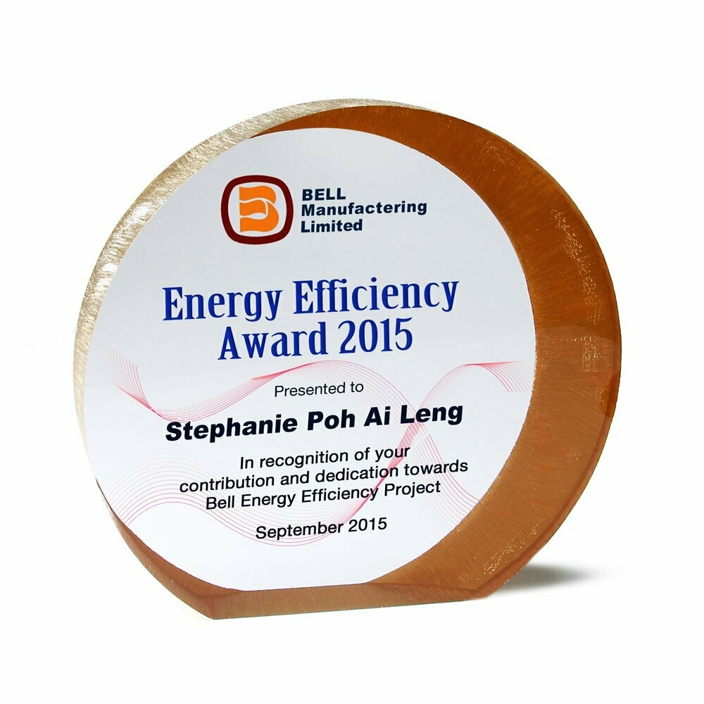 Matrix Gold Circle Acrylic Award